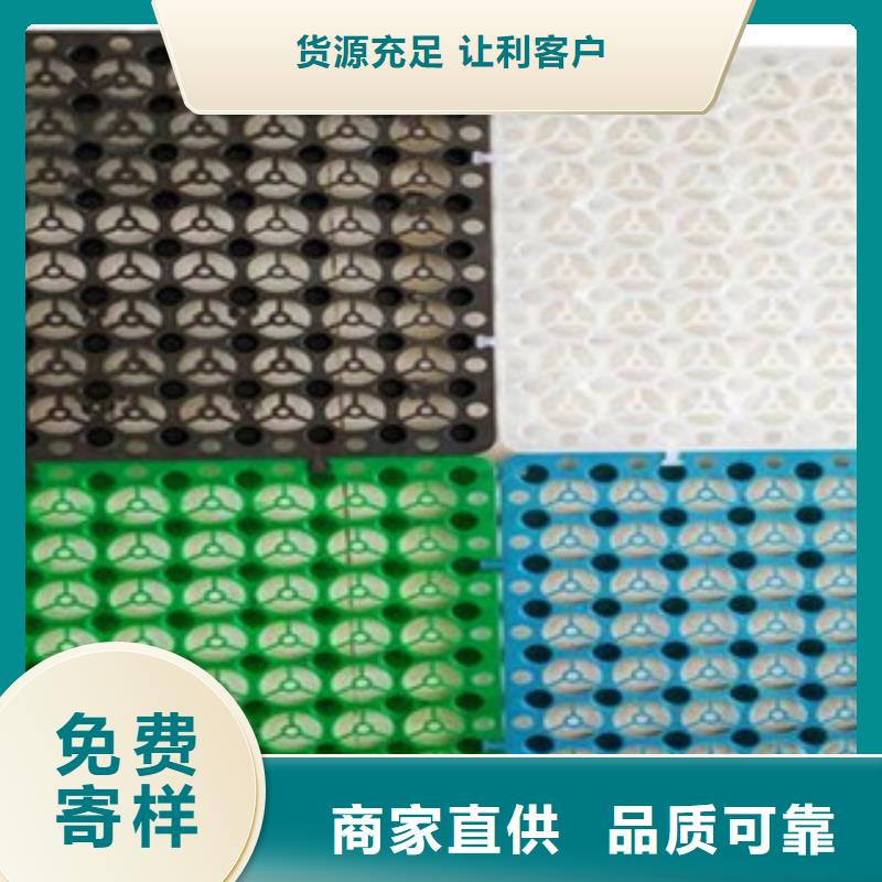 东兴塑料排水板厂家施工简单、高效型号全价格低