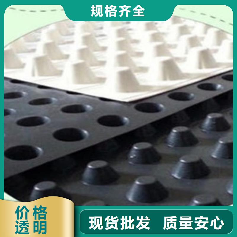 【塑料排水板】钢塑土工格栅检验发货同城制造商