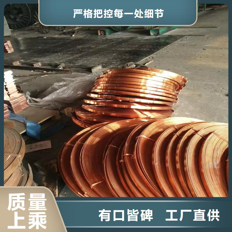 衡阳镀锡铜绞线TJX95mm2/铜绞线行情/图/生产厂家