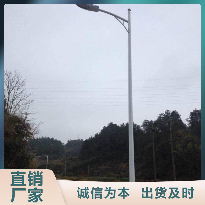 惠州景观灯-路灯厂家价格，欢迎询价，量大从优！