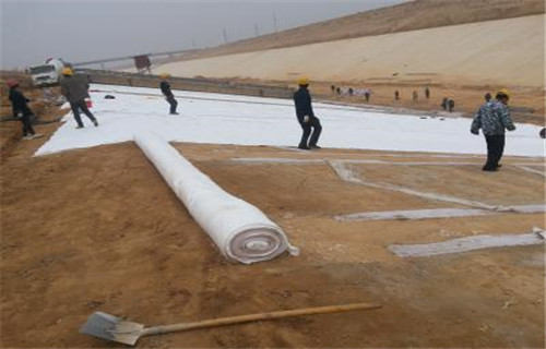 欢迎:自贡绿色防尘土工布生产厂家
