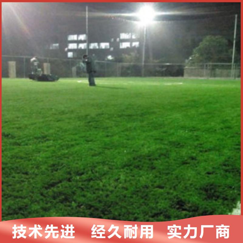 晋中足球场人造草坪生产厂家安装到位