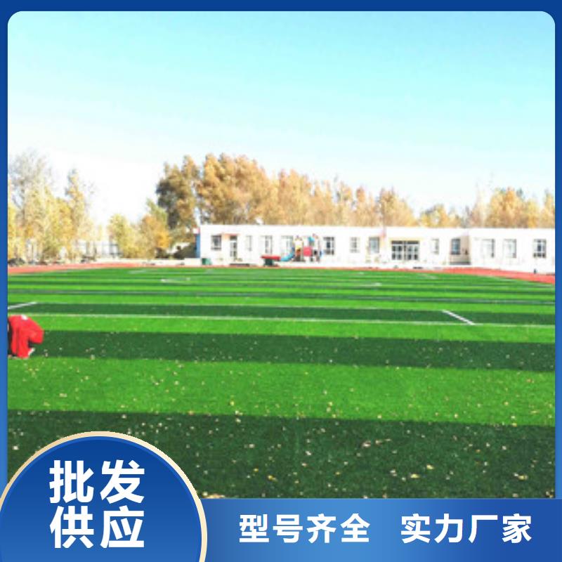 重庆门球场人造草坪总经销量大从优