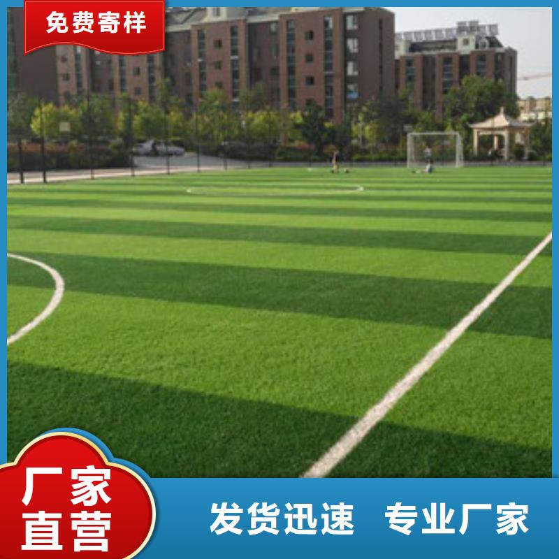 北京围挡人造草坪多少钱每平米