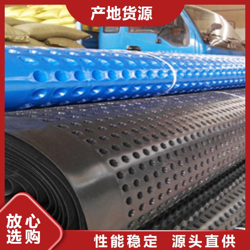 HDPE塑料排水板厂家直供厂家货源批发本地制造商