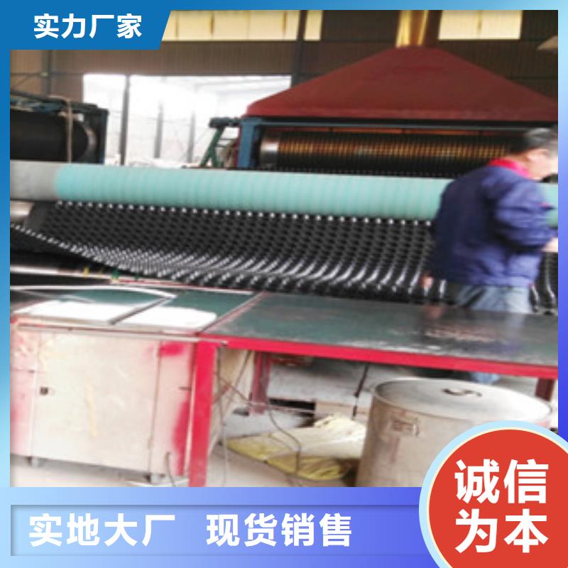 天津塑料排水板土工布厂家优质货源