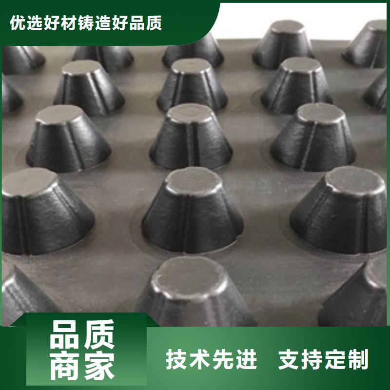 天津塑料排水板 土工布厂家供应商