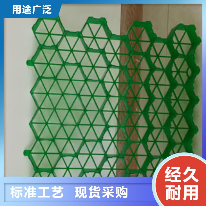 阳原工厂直销出售植草格3.8公分塑胶植草格