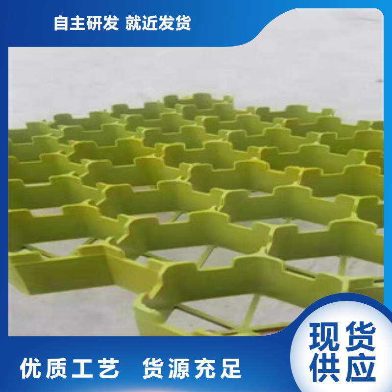 安庆支持定制HDPE耐用植草格消防通道停车场专用