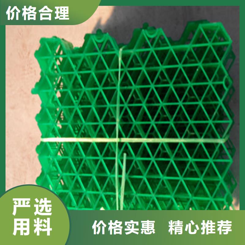 阳江塑料植草格用途