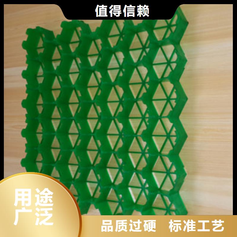 台州40厚植草格生产厂家