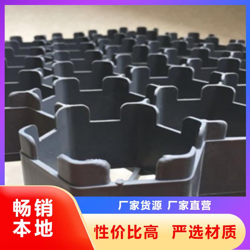 宜昌塑料排水板规格型号