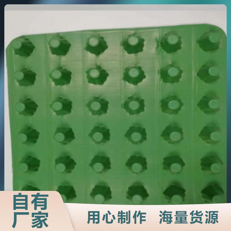 阳东厂家直销量大从优园林环保绿化塑料疏水凹凸型排水板货源足质量好