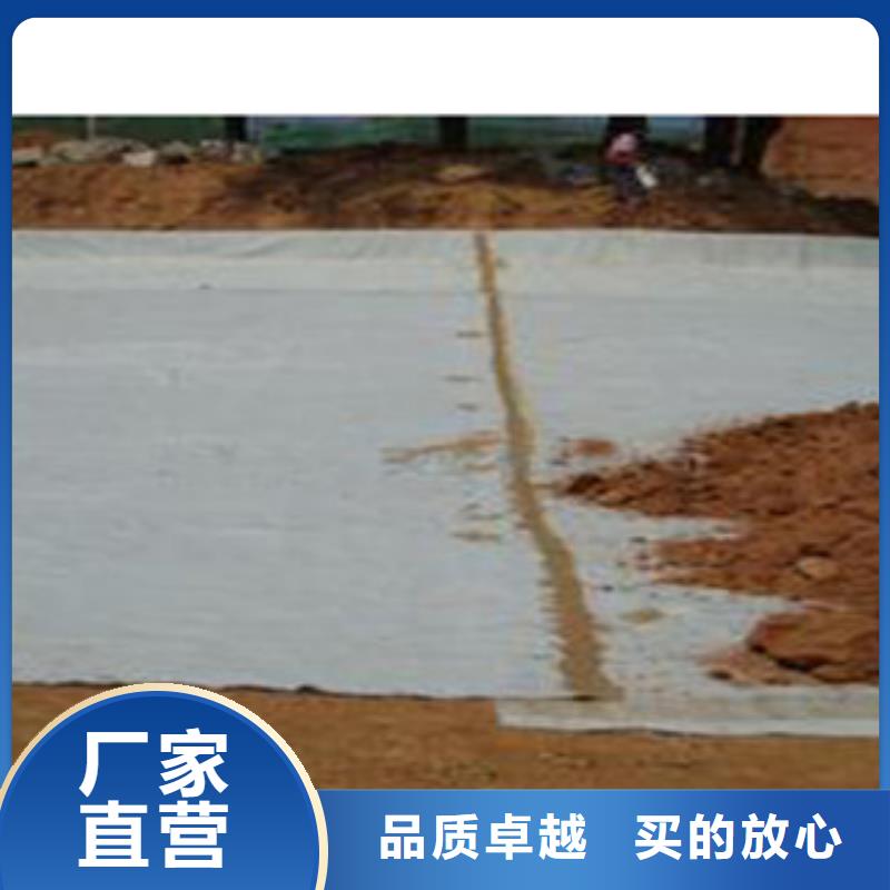防水毯蓄排水板厂家厂家直销规格多样当地供应商
