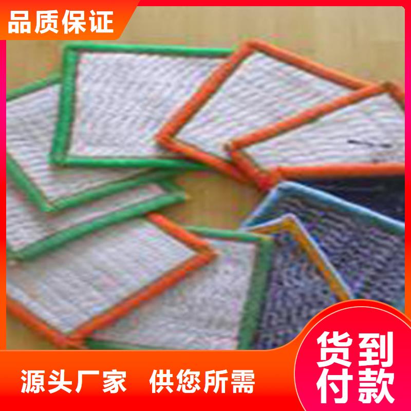 膨润土复合土工布针刺防水毯太平厂家直销同城生产商