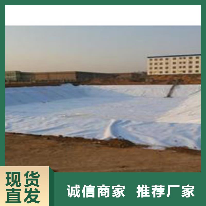 郸城复合覆膜防水毯园林景观与绿化工程专用实力派厂家