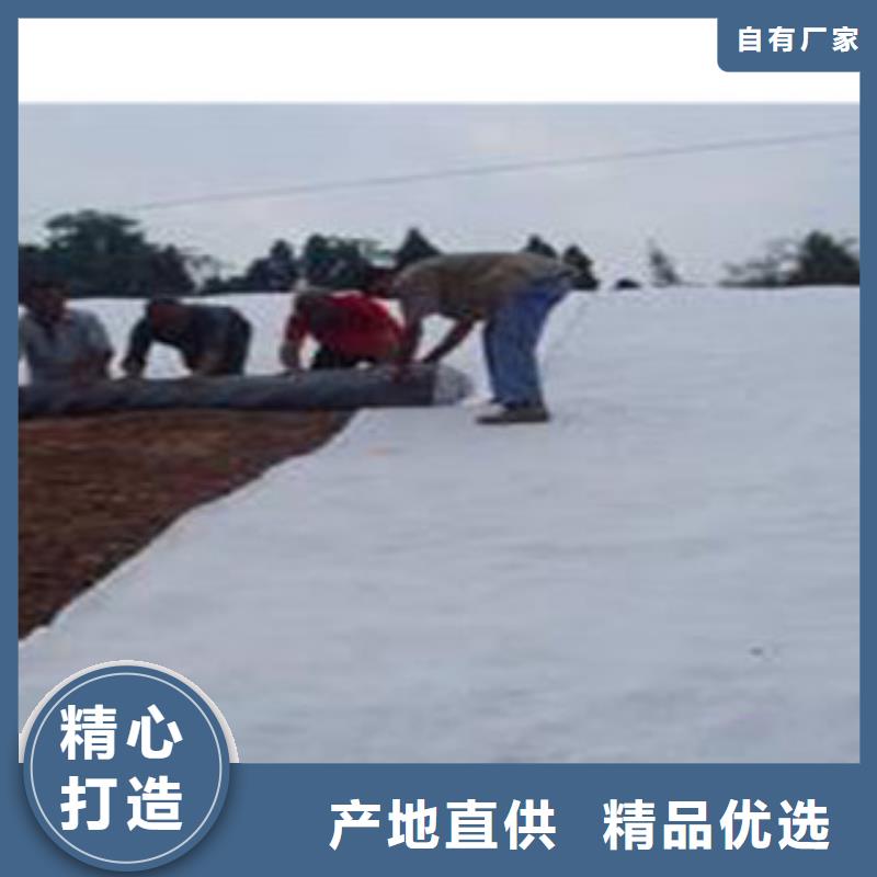潮州钠基膨润土复合防水毯长期出售
