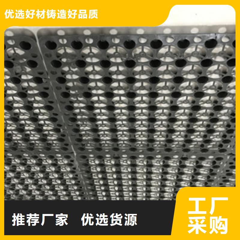 天津4公分高蓄排水板富泰土工材料有限公司厂家直销