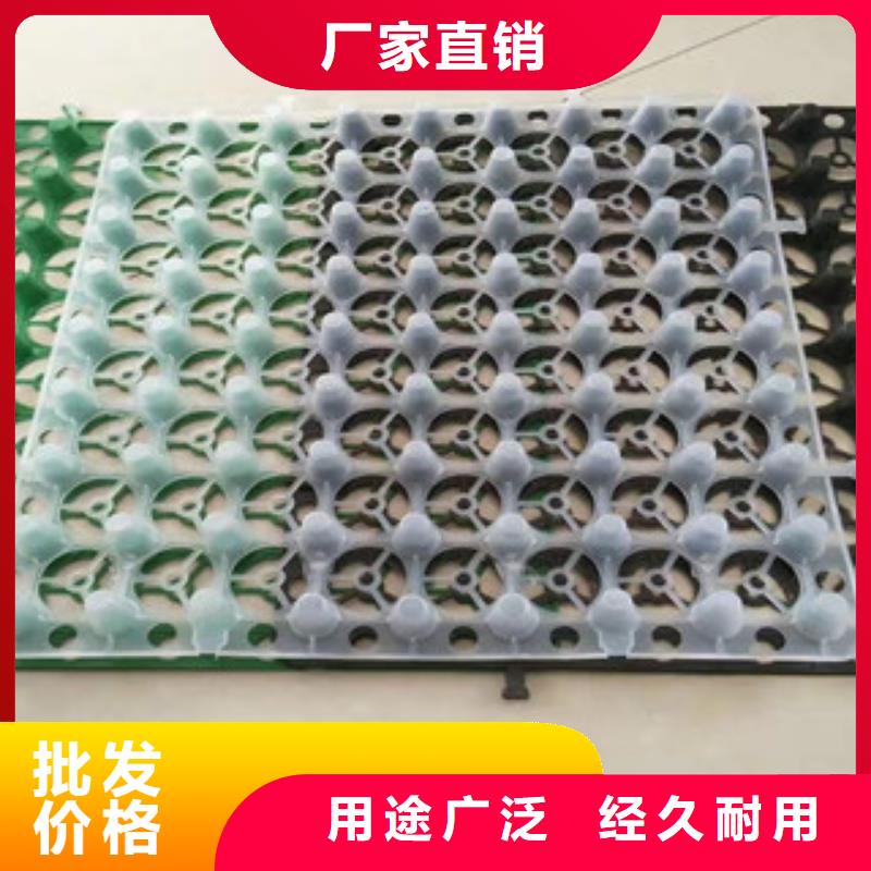 安庆20厚蓄排水板泰安富泰土工材料有限公司厂家价格