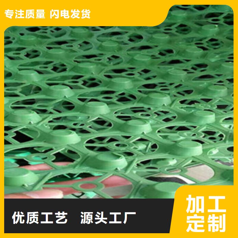 安庆50*50cm蓄排水板泰安富泰土工材料有限公司厂家价格