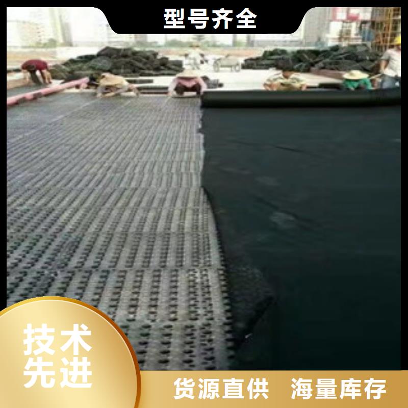 湛江白色块状蓄排水板泰安富泰土工材料有限公司厂家价格