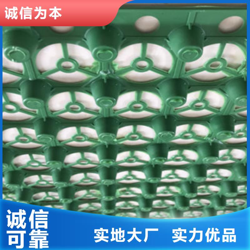广元20厚蓄排水板富泰土工材料有限公司厂家价格