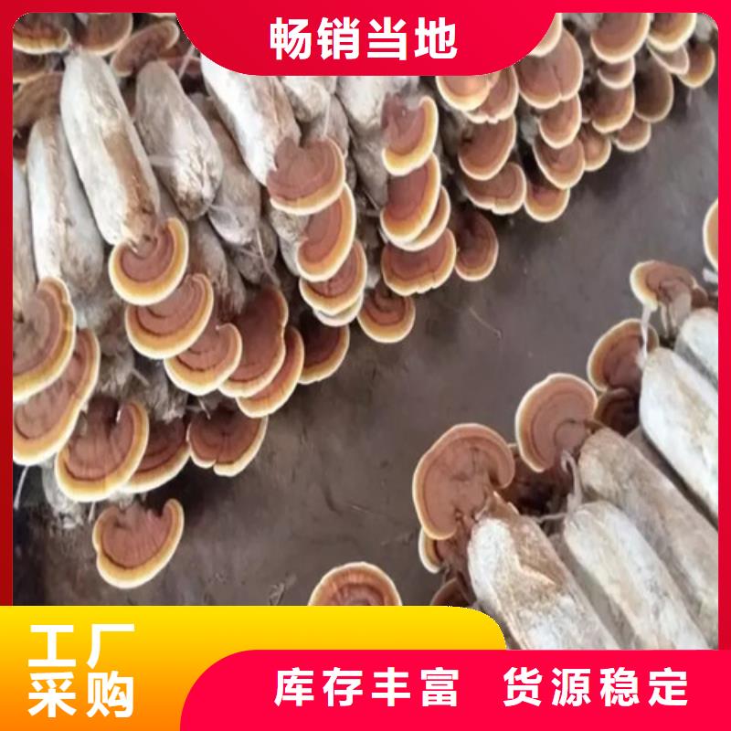 欢迎访问##福州破壁灵芝孢子粉价格##