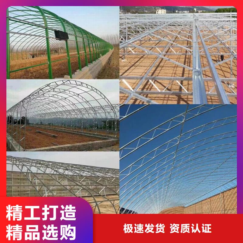 浙江省温州龙湾区连体温室大棚钢管在线咨询
