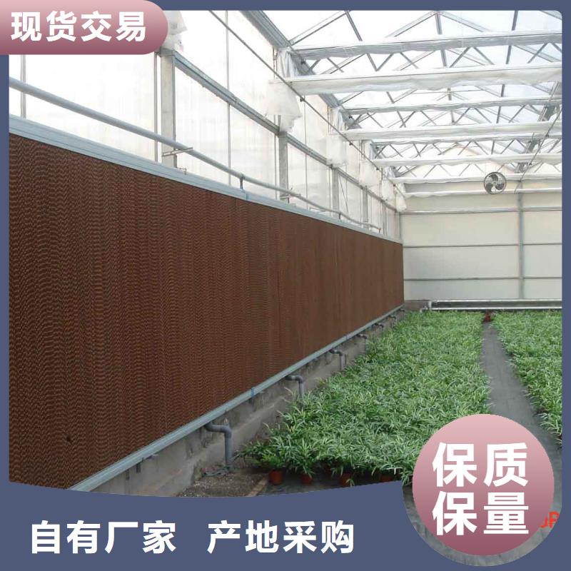 广东省珠海市联港工业区草莓大棚管厂家报价2024