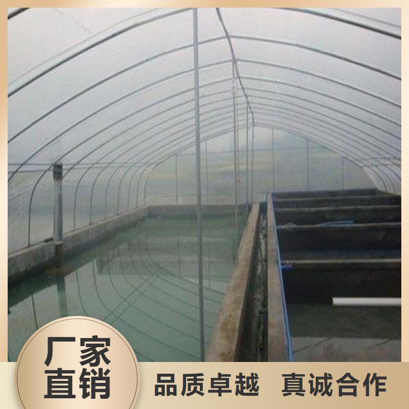 袁州区连体大棚钢管有兴趣合作丰富的行业经验