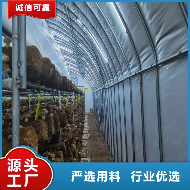 河南省信阳市平桥区加工热镀锌管 种植基地