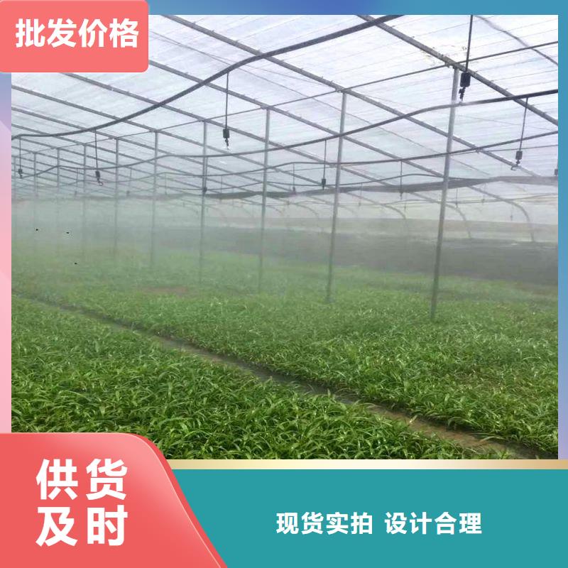 浙江温州鹿城区塑料薄膜温室设计