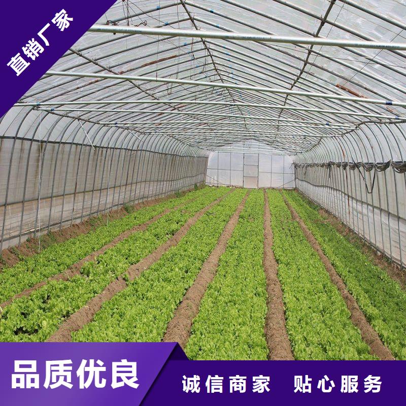 耀州区GP825GP622蔬菜大棚钢架多少钱本地经销商