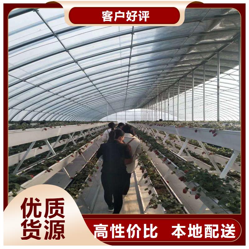 宜丰县热镀锌连体蔬菜大棚管,制造厂家专业完善售后