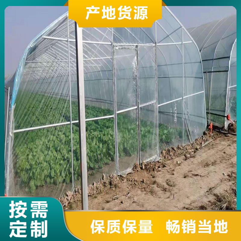 安徽滁州定远县塑料薄膜温室实力厂家