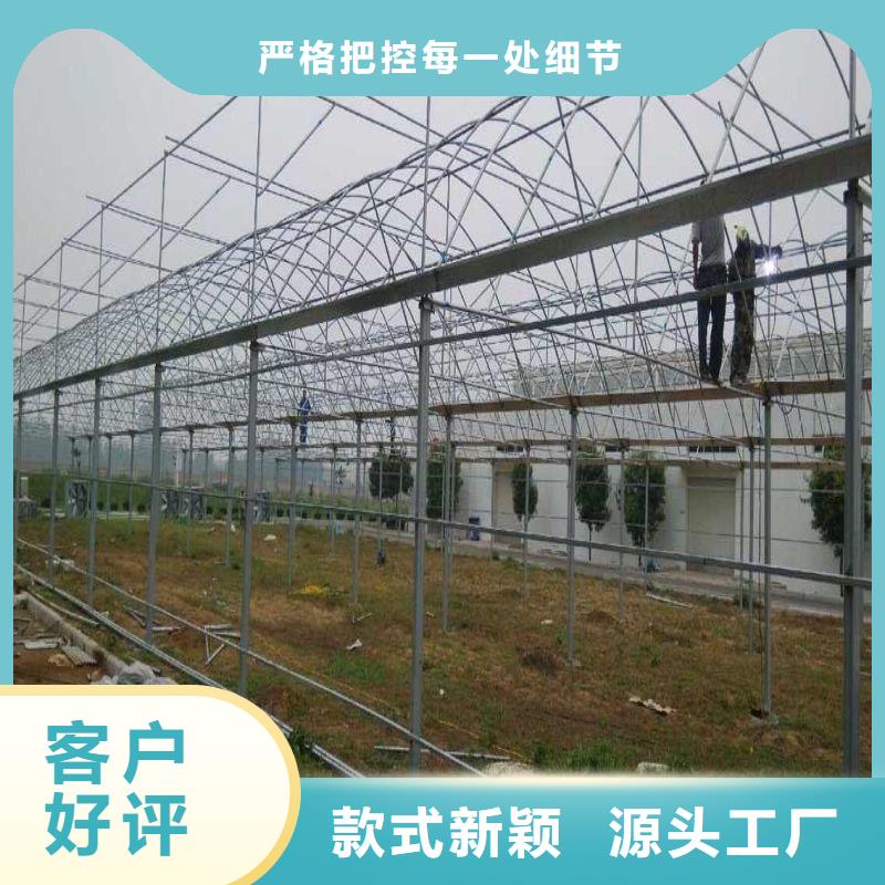 茶陵县塑料薄膜温室性价比高型号齐全