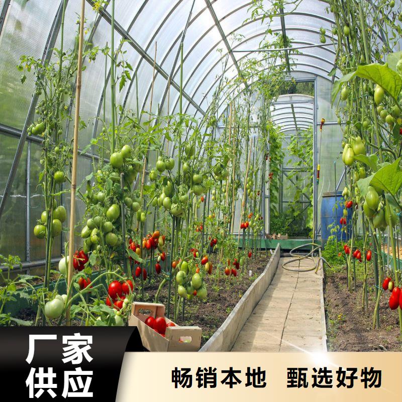广东省佛山市高明区定尺连栋蔬菜大棚管源头厂家