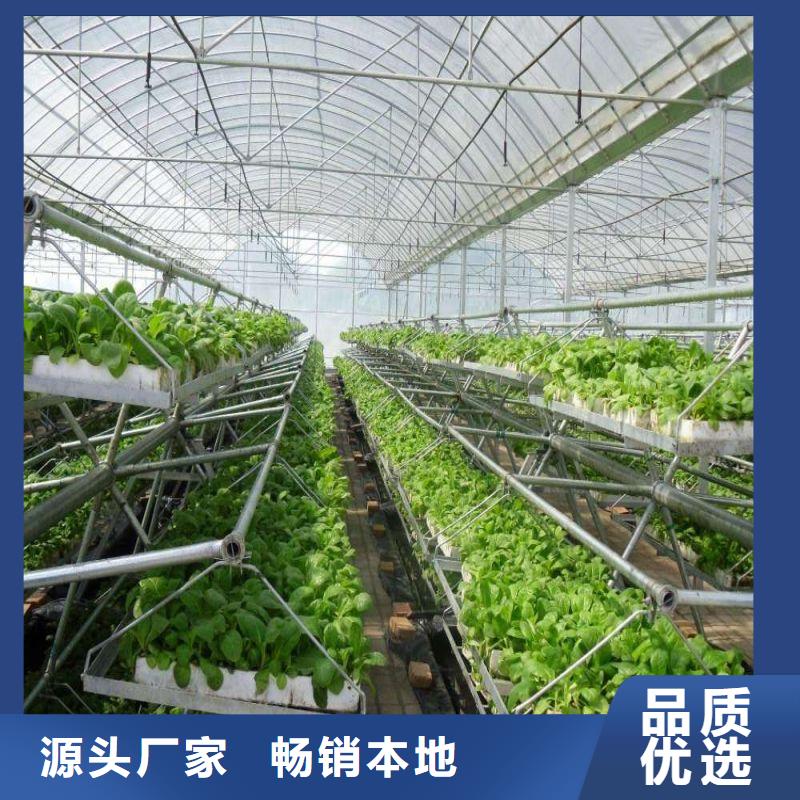 越西县温室水培系统售卖厂家现货供应