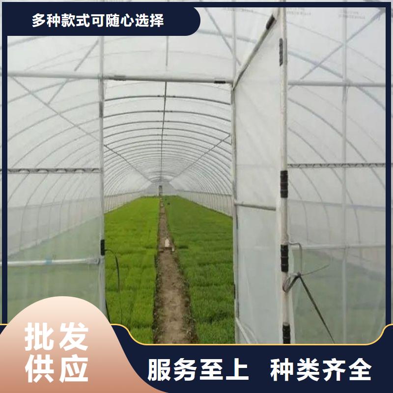 淄川温室品质放心专注产品质量与服务