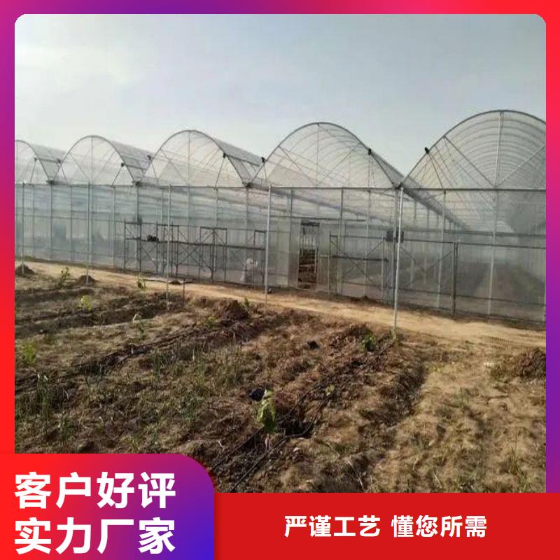 河南商丘虞城县大棚水肥一体化设备种植基地