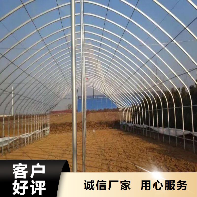 广东省珠海市担杆镇连栋大棚钢管厂设计供您所需
