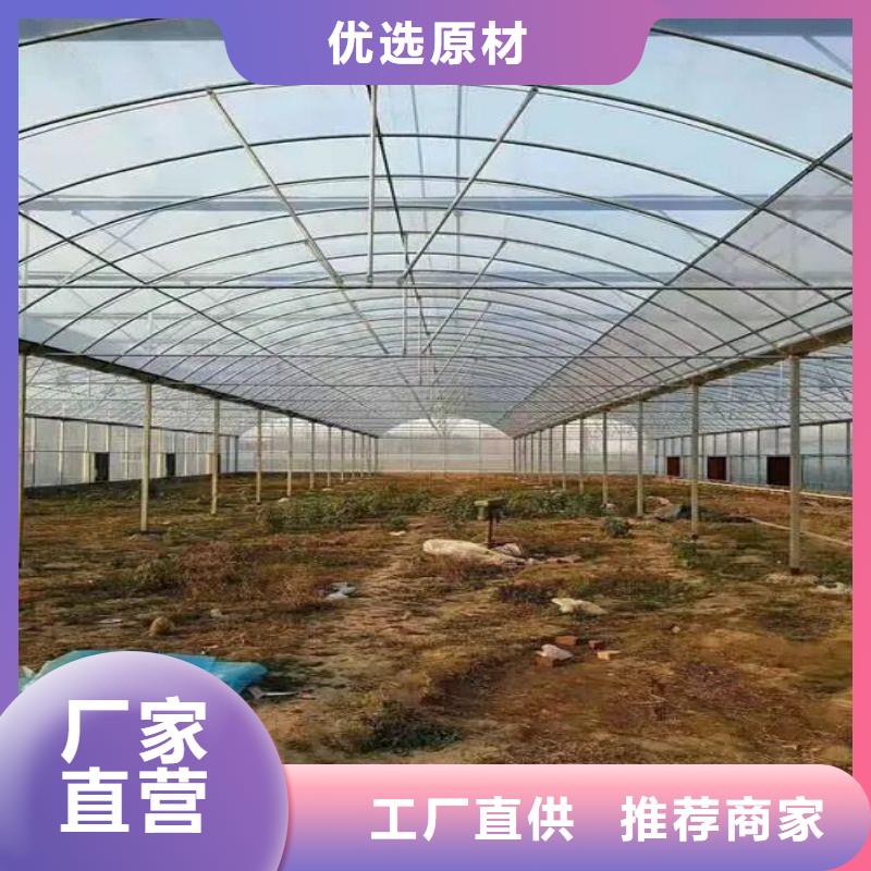 河南鹤壁浚县塑料薄膜温室哪里便宜
