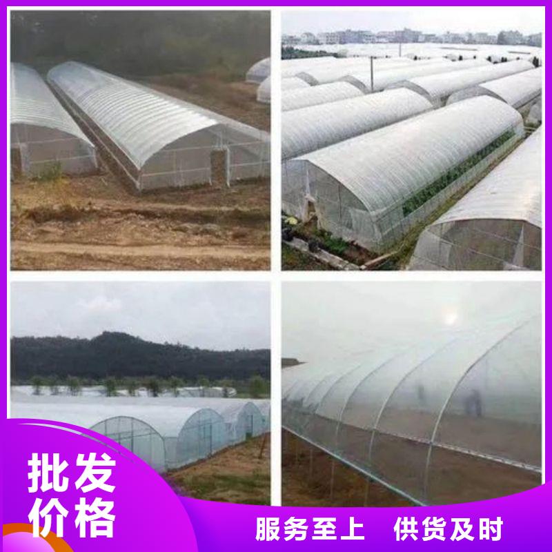 安徽芜湖三山区玻璃智能温室实力厂家