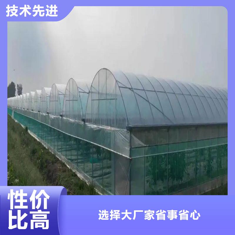 嘉鱼县塑料薄膜温室价格本地生产商