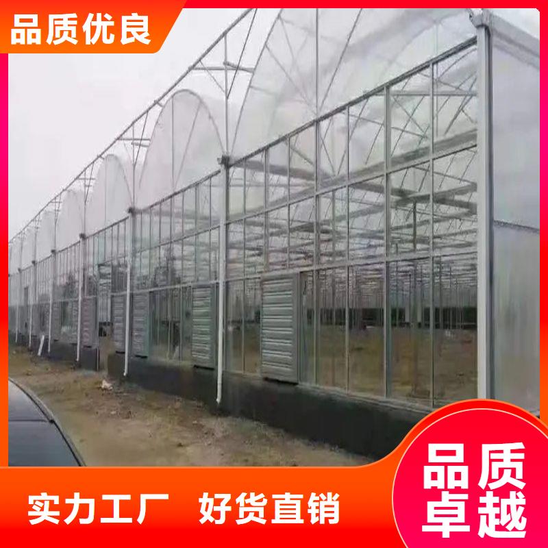 广东省珠海市前山街道蔬菜连体温室大棚管制造厂家实体厂家大量现货