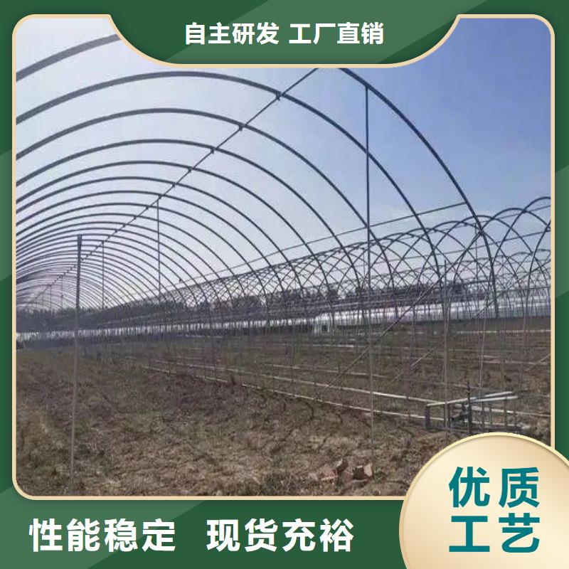 临城县温室水培系统购买当地生产厂家