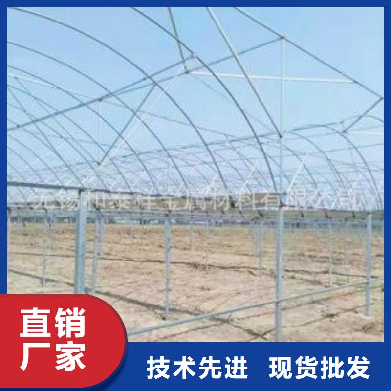 浙江省嘉兴海宁市葡萄用连体大棚钢管批发市场位置