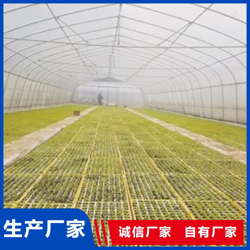 庆阳市庆城大棚钢管质量保证2023已更新