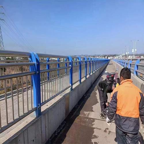 桥梁护栏工厂直营高标准高品质