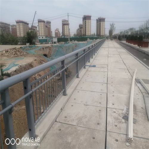 营口不锈钢桥梁护栏尺寸按装视频型号款式按需定制